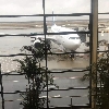 倪永華