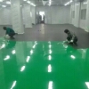馮梓洲