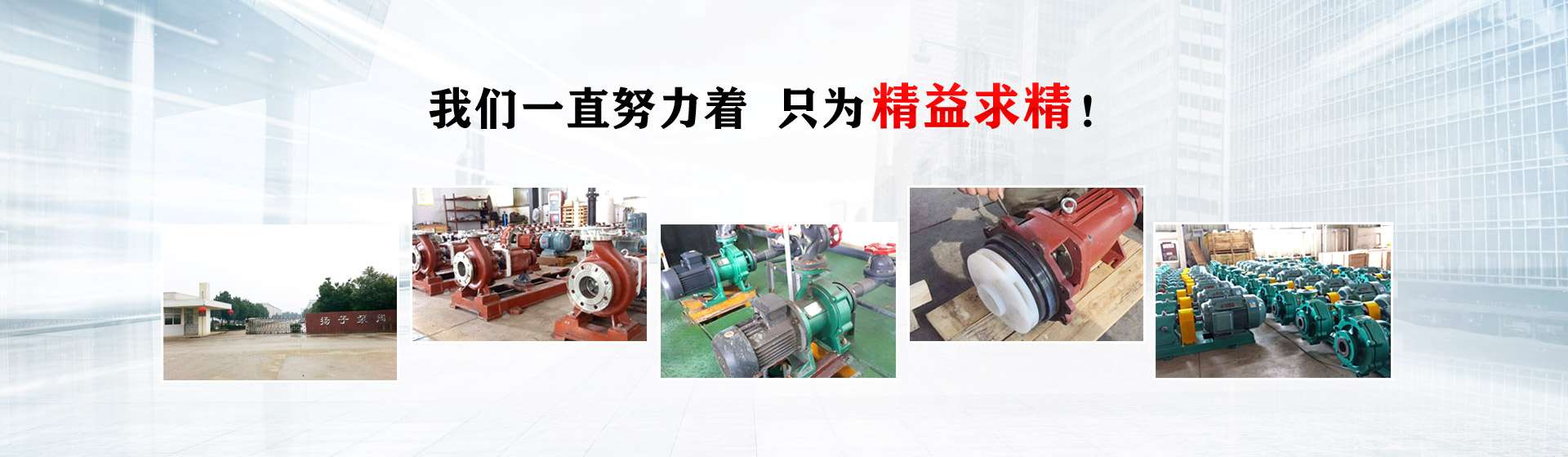 安徽涇縣揚子泵閥有限公司