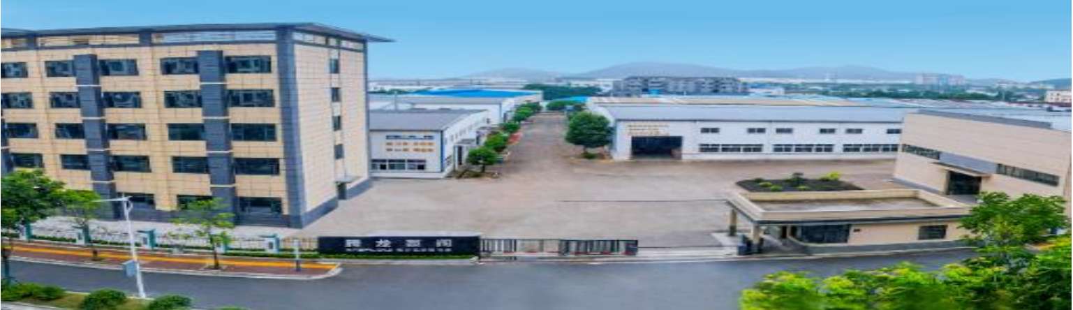 安徽騰龍泵閥制造有限公司