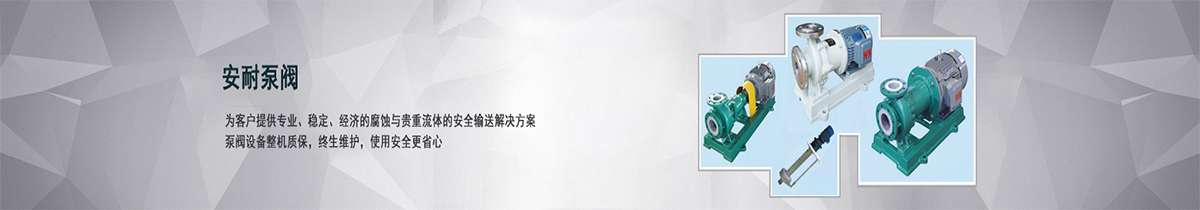 安徽安耐泵閥有限公司